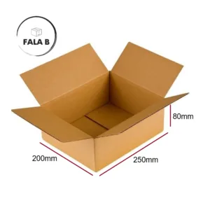 Karton klapowy Pudełko 250x200x80 350g/m2 -20 szt.