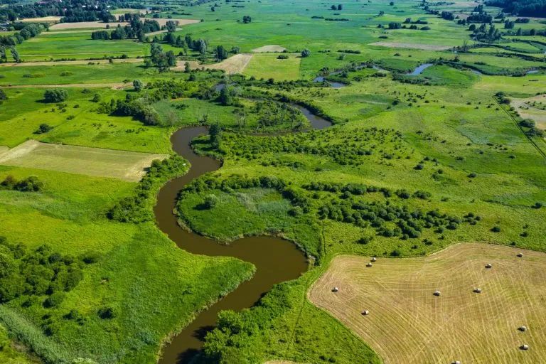 Meandrujące koryto rzeki wśród zielonych łąk, zdjęcie z lotu ptaka