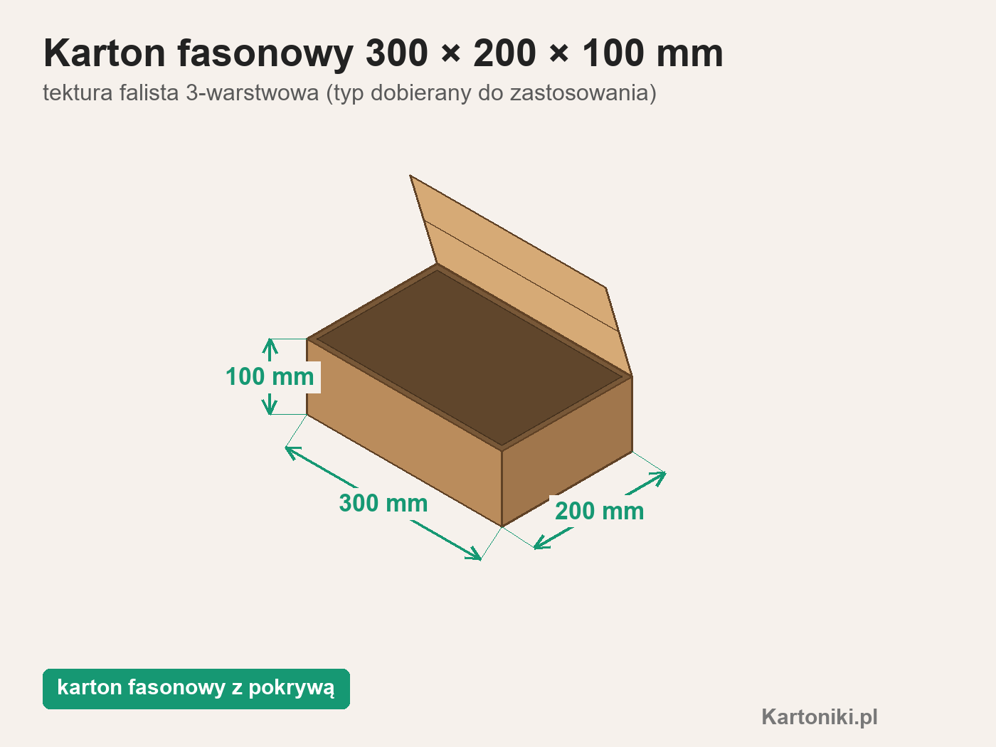 Karton fasonowy z pokrywą 300 × 200 × 100 mm z podpisanymi wymiarami
